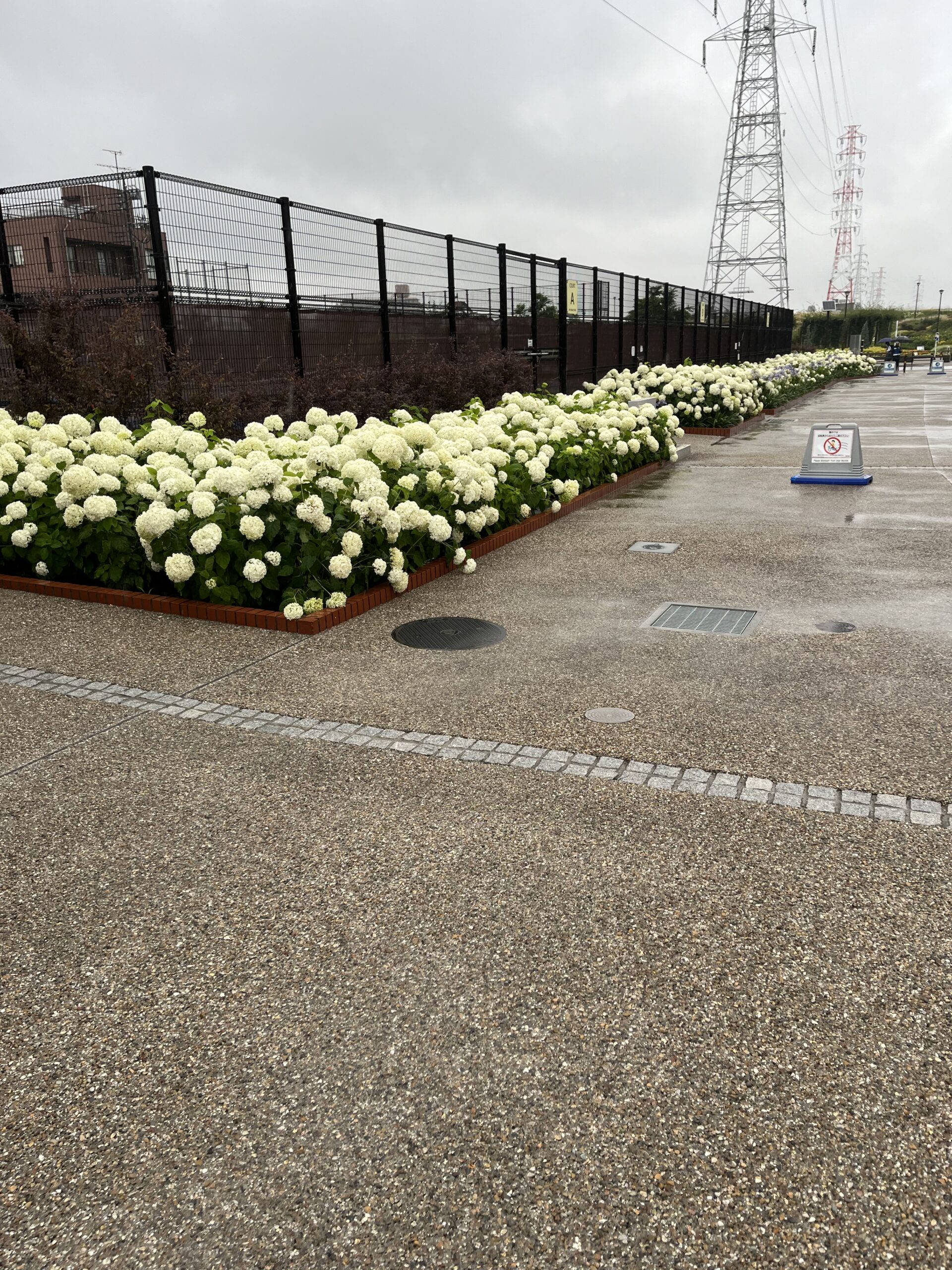 雨の日の1日 | ミルキーウェイグループ 保育園 社会福祉法人三樹会 埼玉県 東京都